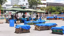 Hứa hẹn mới lạ cuộc thi trình diễn pháo hoa quốc tế Đà Nẵng 2015