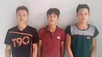 Thuê taxi đi cắt trộm dây điện 3 pha của ngân hàng