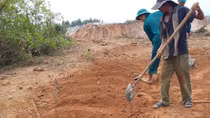 Yêu cầu xử lý vụ xâm hại hàng trăm ngôi mộ tại Nghĩa trủng Nghi An