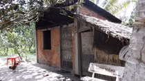 Cháy nhà giữ vườn cây ăn trái, 2 mẹ con tử vong