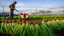 Triển lãm ảnh chủ đề ‘Hướng về nông thôn mới’