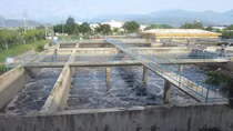 Xử phạt 3 công ty xả thải vượt quy chuẩn ra môi trường