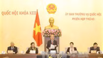 Cho ý kiến về nhiệm vụ, quyền hạn tổ chức Văn phòng Quốc hội
