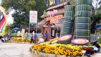 Sôi động Tuần lễ du lịch xanh ĐBSCL năm 2015