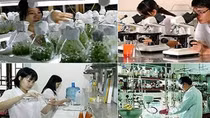 Chuyển đơn vị sự nghiệp công lập thành công ty cổ phần
