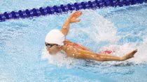 Thông tin kình ngư Ánh Viên được cấp học bổng tham dự Olympic Brazil 2016 là không chính xác