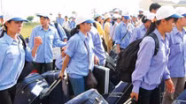 Cơ hội cho lao động Việt Nam đi làm hợp pháp tại Thái Lan