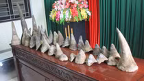 Bộ trưởng Trần Đại Quang khen các lực lượng bắt vụ vận chuyển trái phép sừng tê giác tại Nghệ An