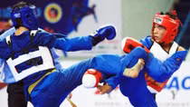 22 võ sĩ Việt Nam dự giải Vovinam vô địch thế giới
