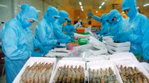 Kẻ cười, người khóc vì tỷ giá