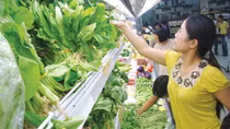 Rau quả đội lốt rau an toàn đang bào mòn lòng tin người tiêu dùng