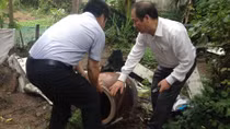 Dân lơ là phòng, chống, sốt xuất huyết tăng cao