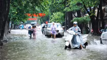 Phê duyệt giá đất bồi thường một số dự án