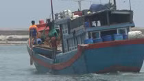 Bị tàu lạ đâm, 1 ngư dân trên tàu cá ở Lý Sơn trọng thương