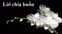 Lời chia buồn với gia đình Trung tá Đặng Ngọc Như
