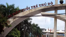 Xin dừng mở rộng công viên Tuổi Trẻ