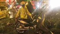 Cảnh sát giao thông giúp dân thoát khỏi vụ tai nạn do cành cây gãy
