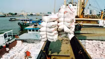 Tính đến 15/2, Việt Nam xuất siêu 288 triệu USD
