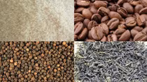 Giá xuất khẩu nhiều mặt hàng nông sản tăng
