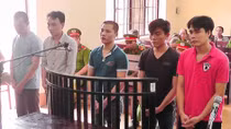 Rủ cả đám bạn về quê vợ trộm cắp