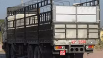 Mang biển số đỏ giả chở quá tải