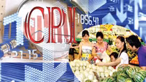 Chỉ số giá tiêu dùng cả nước trong năm 2015 chỉ tăng 0,6%