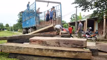 Tiếp tục điều tra vụ phá rừng phòng hộ Phú Ninh, Quảng Nam