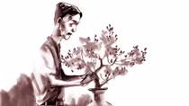 Mai vàng xuân trước