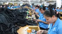 Cả nước giải quyết việc làm cho 1,6 triệu lao động