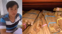 Làm rõ thủ đoạn trộm hơn 30 tấn gỗ hương của nhóm tài xế xe container