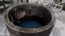 Bắt kẻ ném cháu ruột 1 tuổi xuống giếng