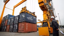Ngành Nông nghiệp nhập hơn 11,3 tỷ USD
