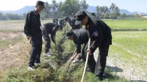 Oằn mình chống chọi hạn hán khốc liệt