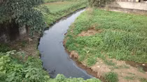 Ô nhiễm môi trường ở các làng nghề: Những con kênh “chết”