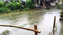 Mưa lũ đến ‘sớm’ hơn 1 tháng