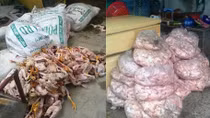 Hơn 1,3 tấn thịt, đầu gà không rõ nguồn gốc