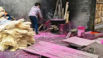 Lũng Vị, 'rốn' ung thư của Hà Nội