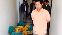 32 rắn hổ mang chúa 'đi' xe khách Hoàng Long ra Hà Nội