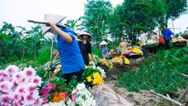 Những gánh hàng hoa vào phố