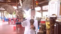 Thú rừng về phố