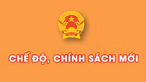 Nhiều chính sách mới có hiệu lực từ tháng 3/2015