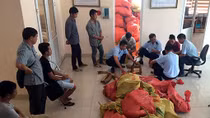 Khởi tố vụ buôn lậu ngà voi và vảy tê tê với số lượng cực khủng
