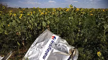 Bán di vật của MH17, một Cảnh sát Hà Lan bị điều tra 