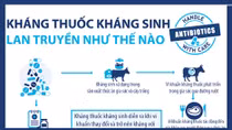 WHO thực hiện chiến dịch chống kháng thuốc kháng sinh ở Việt Nam