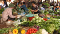 Thực phẩm bẩn vẫn đổ về Hà Nội hàng ngày