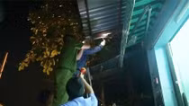 Chạm vào mái tôn, 2 người bị điện giật thương vong