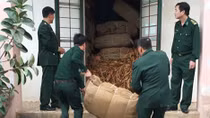 Thu giữ 36 tấn lá thuốc lá nhập lậu