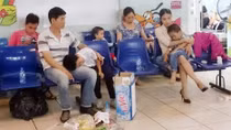 51 học sinh nhập viện vì bị ong đốt 