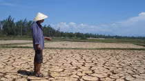 Quảng Ngãi: Dân khổ vì nắng nóng