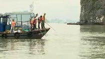 Công an tỉnh Quảng Ninh: Tổ chức thu gom rác trên vịnh Hạ Long